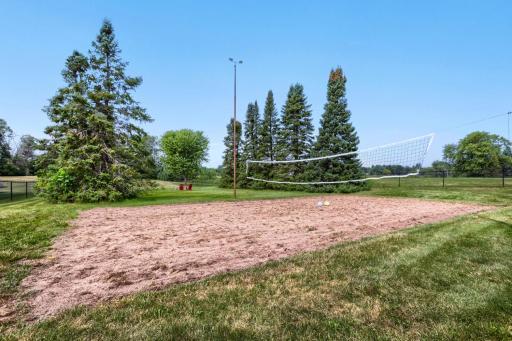 Sand Volleyball/Winter Ice Rink