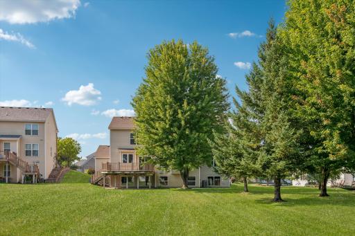 Large Back Yard .40Acre