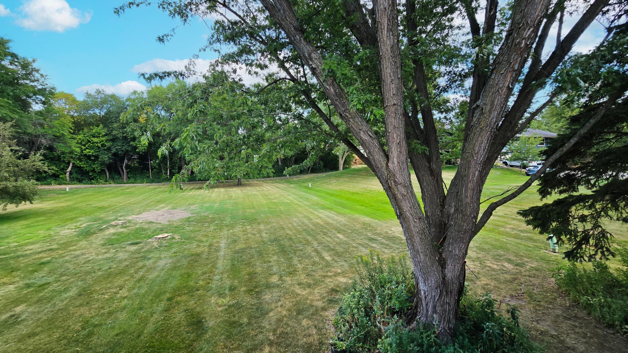 Deep, manicured lawn framed by mature trees, offering a tranquil country-like feel.
