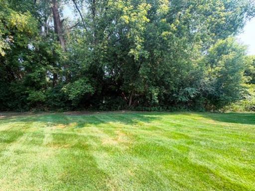 Surrounded by greenspace & mature trees