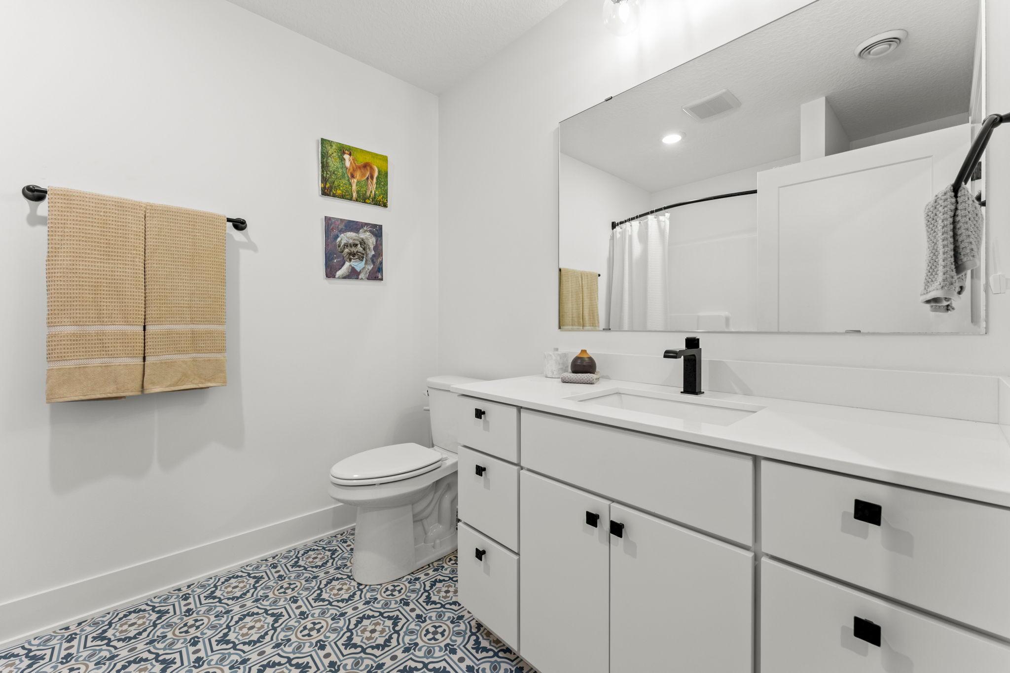 Lower level bath