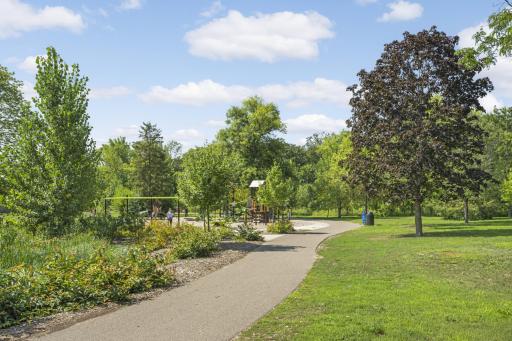 Image-50.jpg
