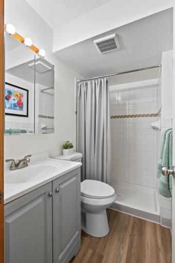 Lower level updated bath