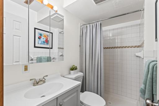 Lower level updated bath