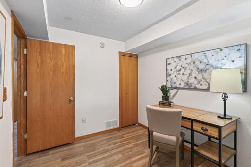 View of the lower level 3rd bedroom
