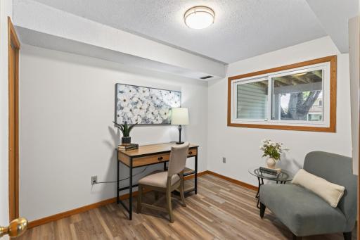 Lower level 3rd bedroom