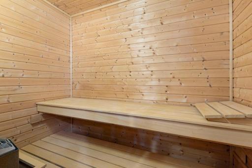 Wet/Dry sauna within the lower level bathroom.