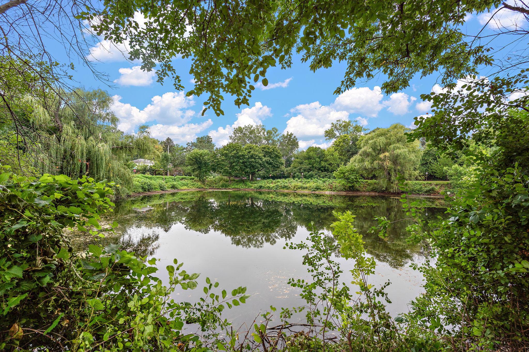 Pond View from Backyard