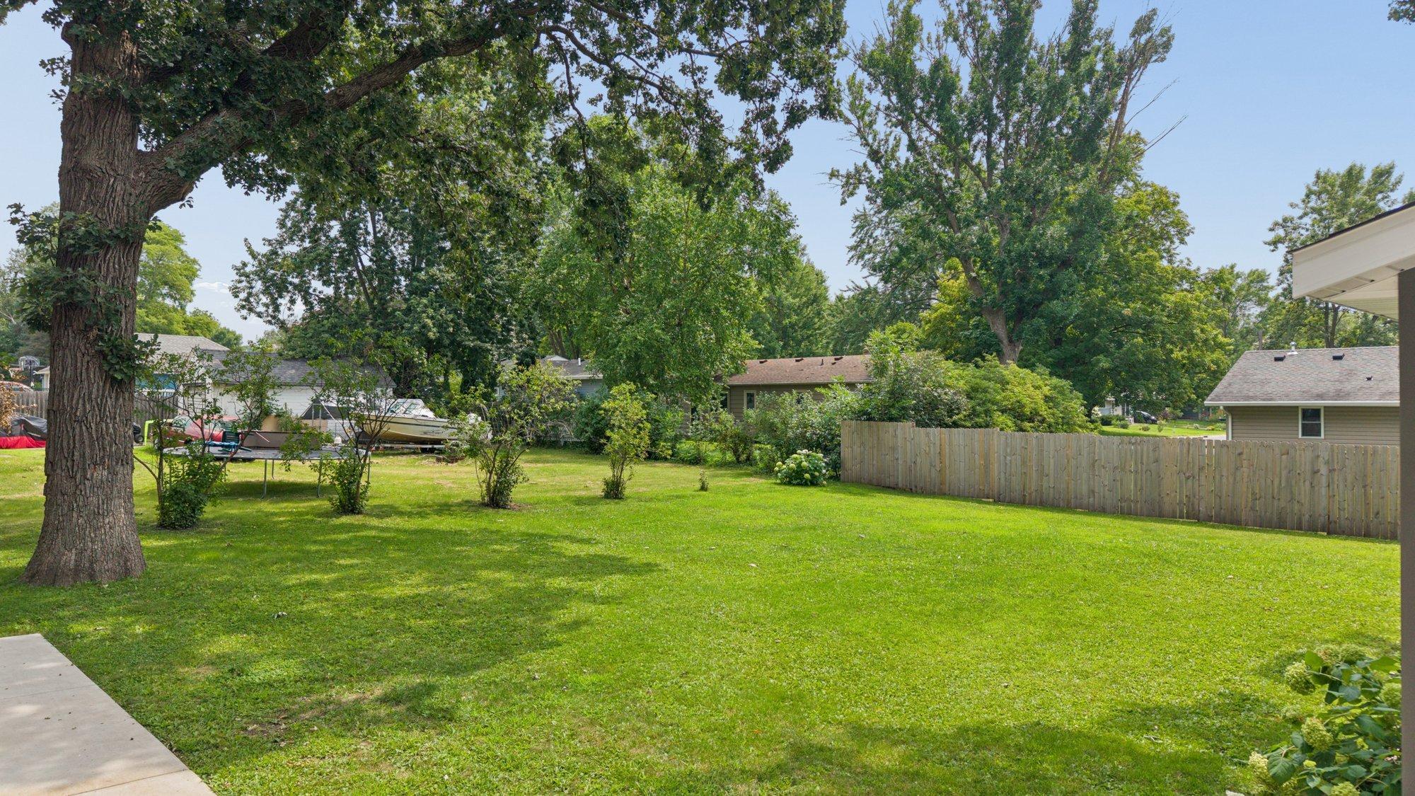 Back Yard