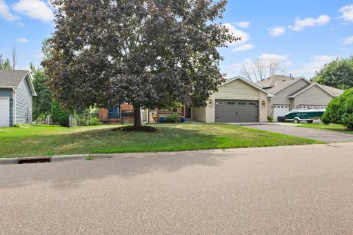 2-web-or-mls-7419 52nd St N-24.jpg