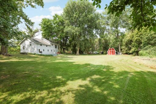 Backyard (2).jpg