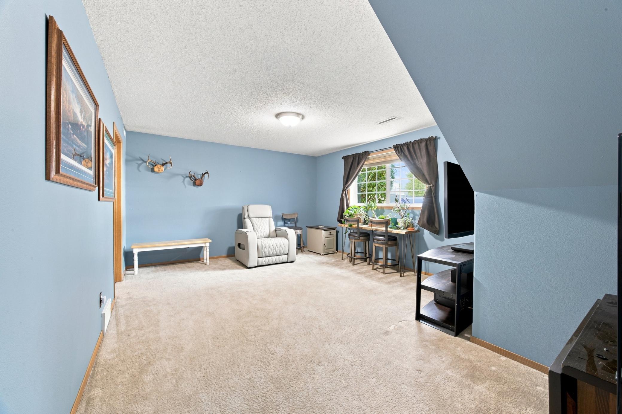Lower level living room
