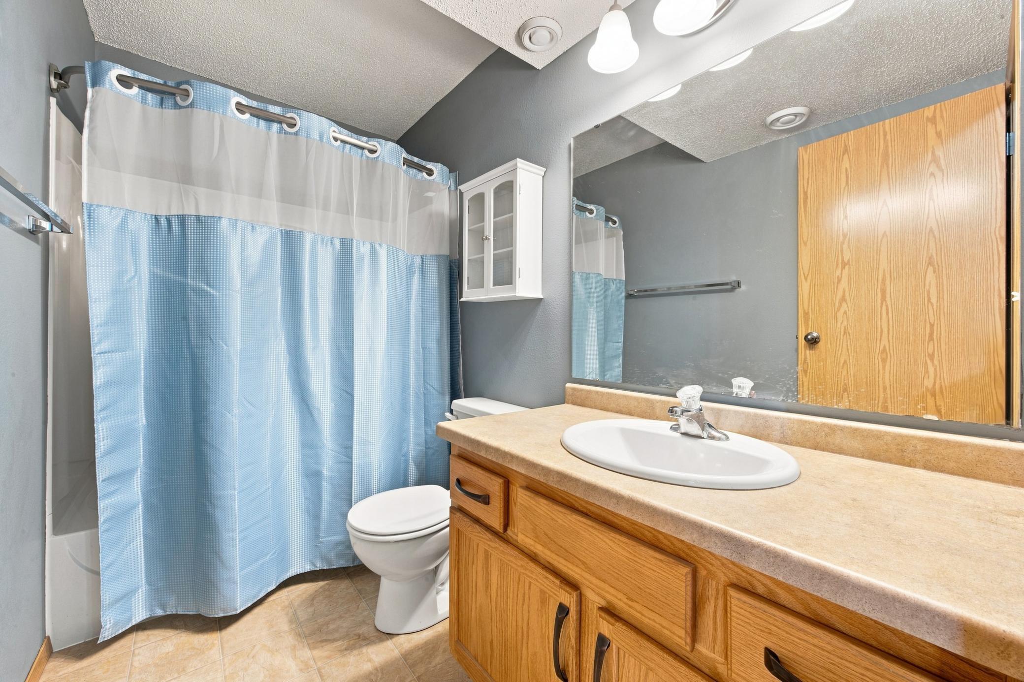 lower level bathroom
