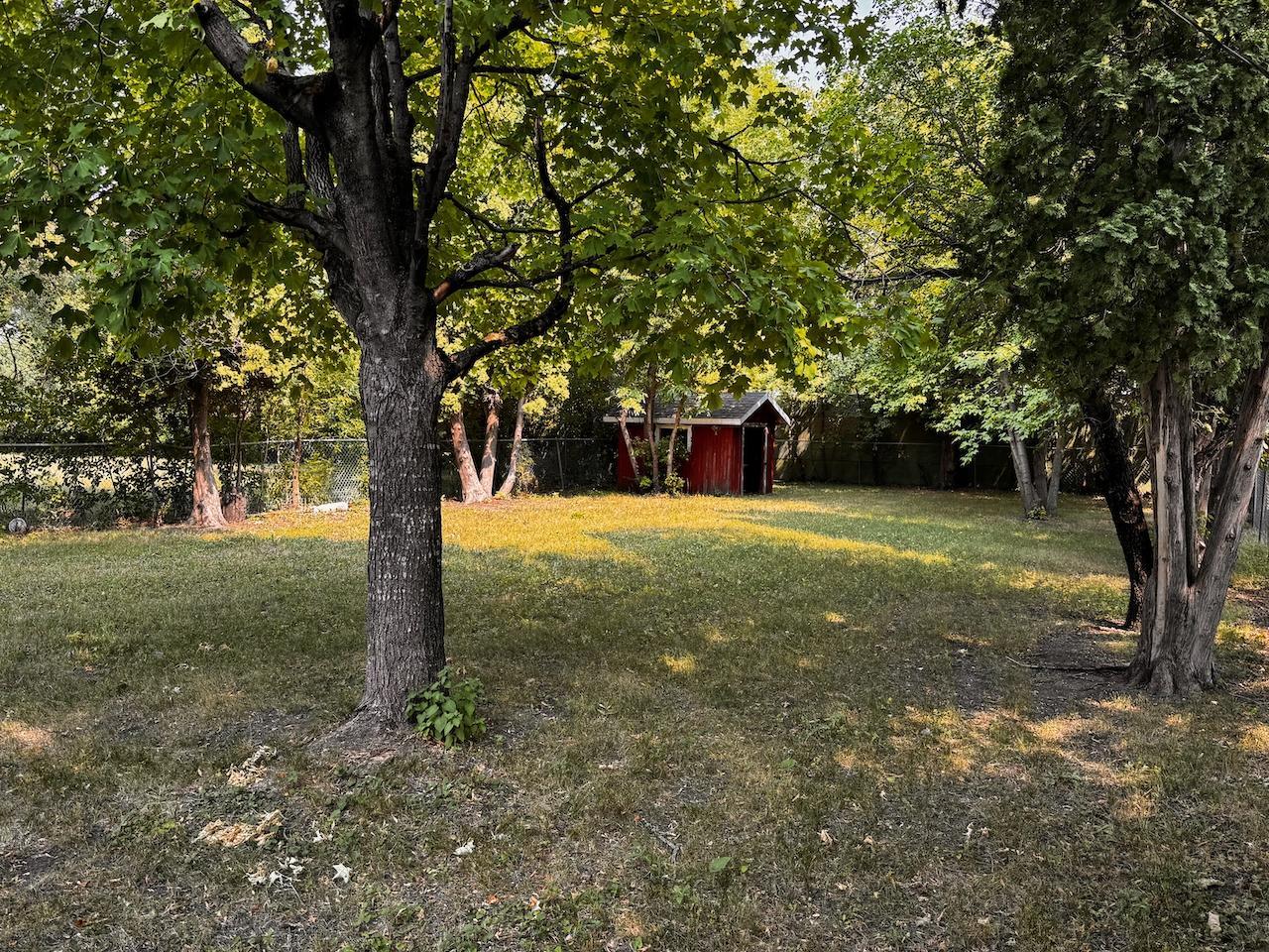 Back yard
