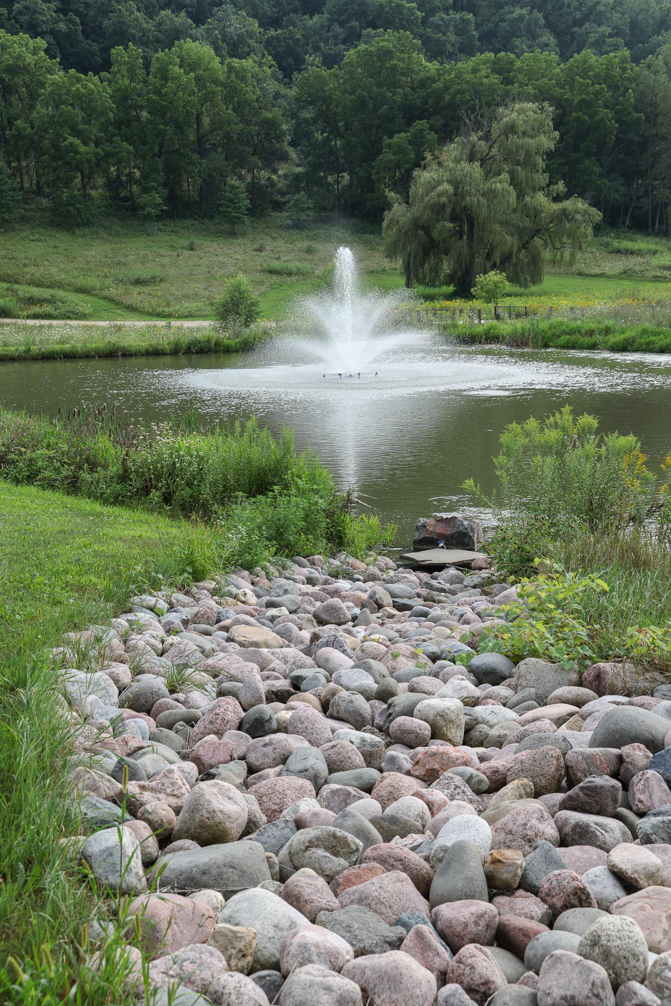 P2.jpg