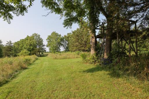 17674 County 11, Spring Grove, MN 55974