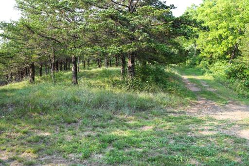 17674 County 11, Spring Grove, MN 55974