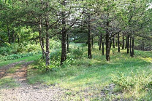 17674 County 11, Spring Grove, MN 55974