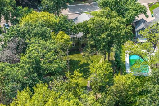 Aerial view of the backyard and all the mature trees
