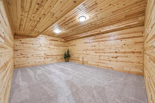 Lower Level Flex Room with a cozy cabin feel