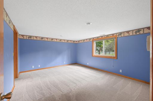 The large lower-level bedroom features a view of the backyard and a large walk-in closet.