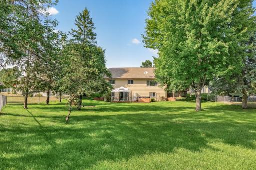 A rare large lot with beautiful, mature trees!
