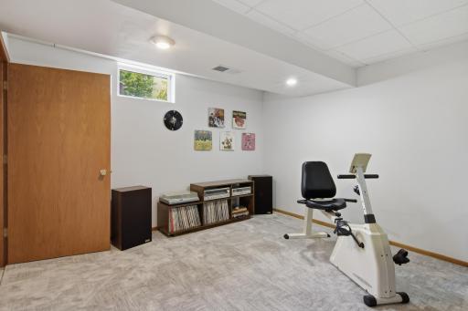 13-Lower Level Family Room-3