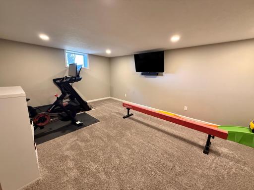 Basement Bonus Room