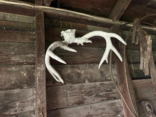 Photo 30