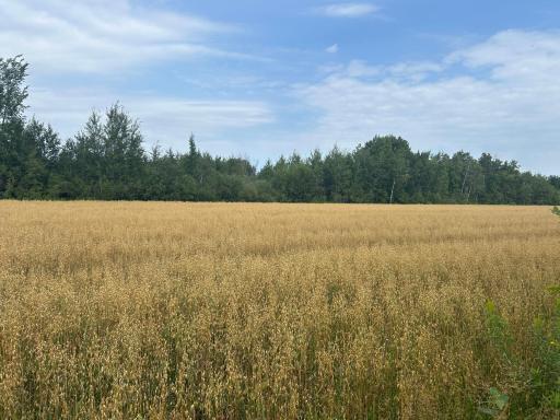 Strathcona, MN 56759