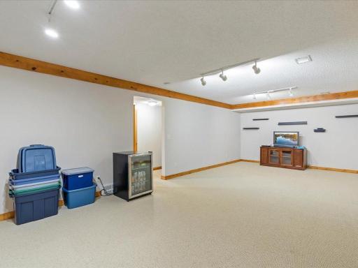 Lower level living room