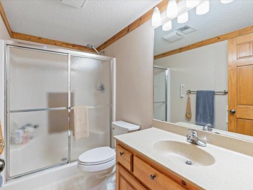 Lower level bathroom