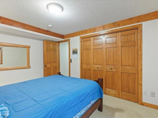 Lower level bedroom