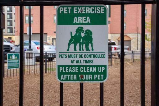Dog walk area