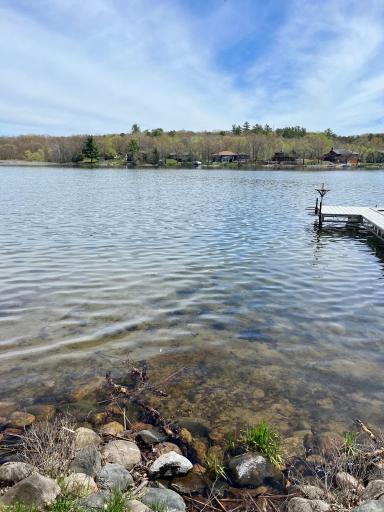 Spring shoreline - lake assoc. sprays for years every 2 years