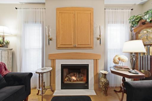 Gas fireplace
