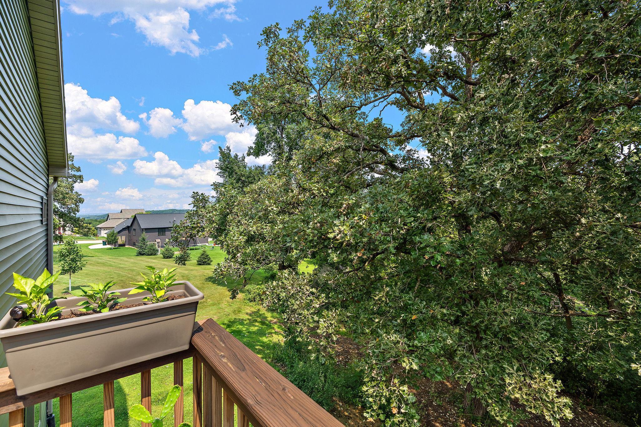 View from Deck