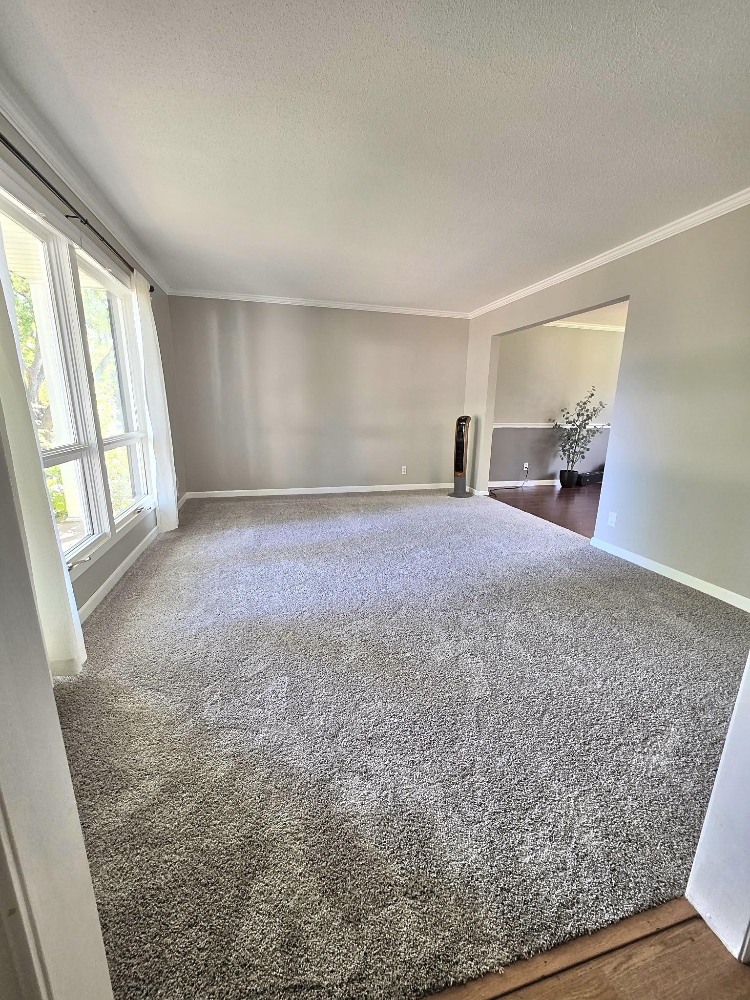 Brand new carpet just installed