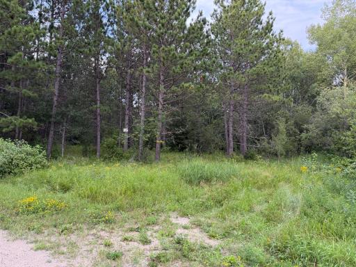4788 Town Road, Ray, MN 56669