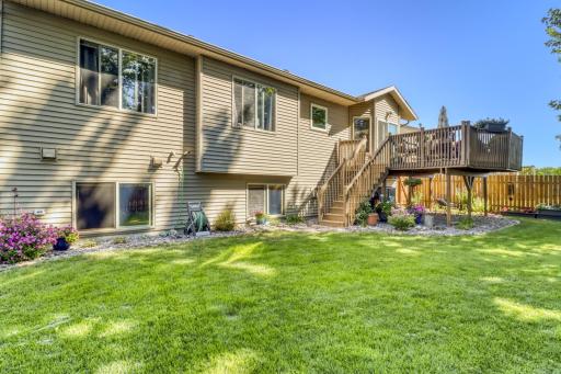 Backyard1_3 (3).JPG