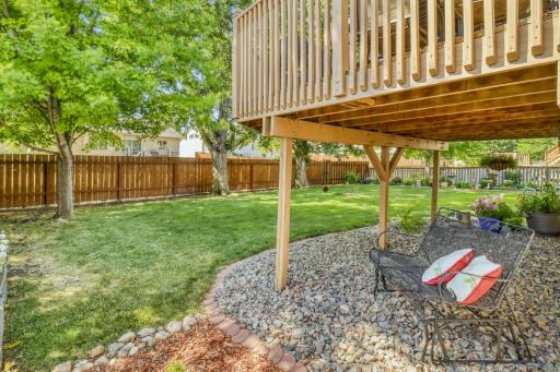 Backyard1_5 (2).JPG