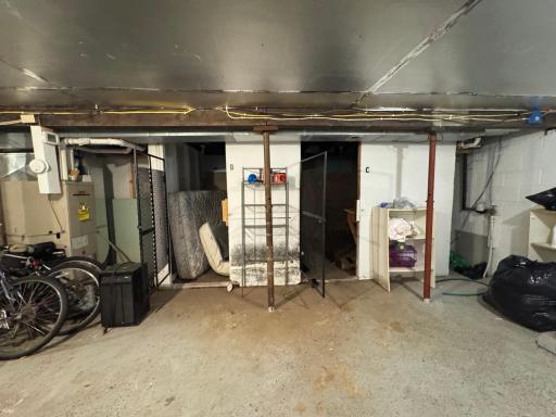 Basement Storage Lockers
