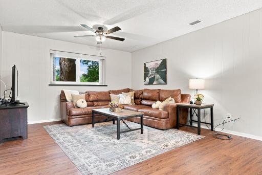 Lower level family room