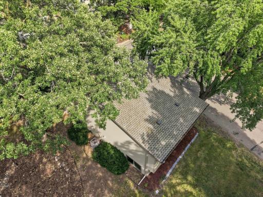 This neighborhood has lovely mature trees