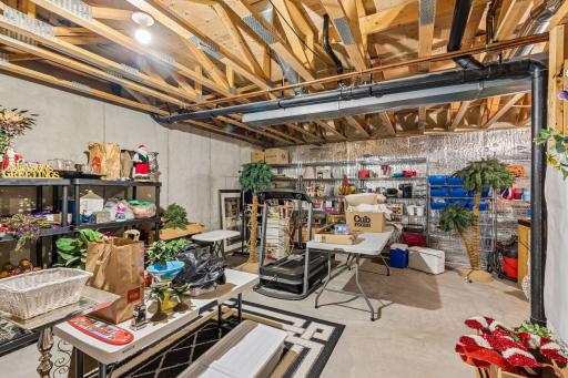 TONS of space in the lower-level storage/mechanical room.