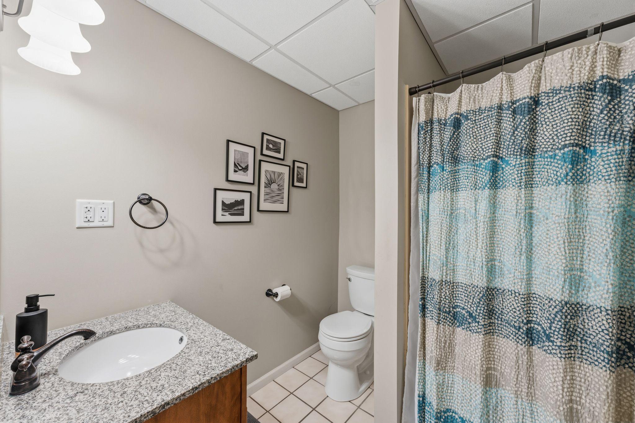 Lower level bathroom