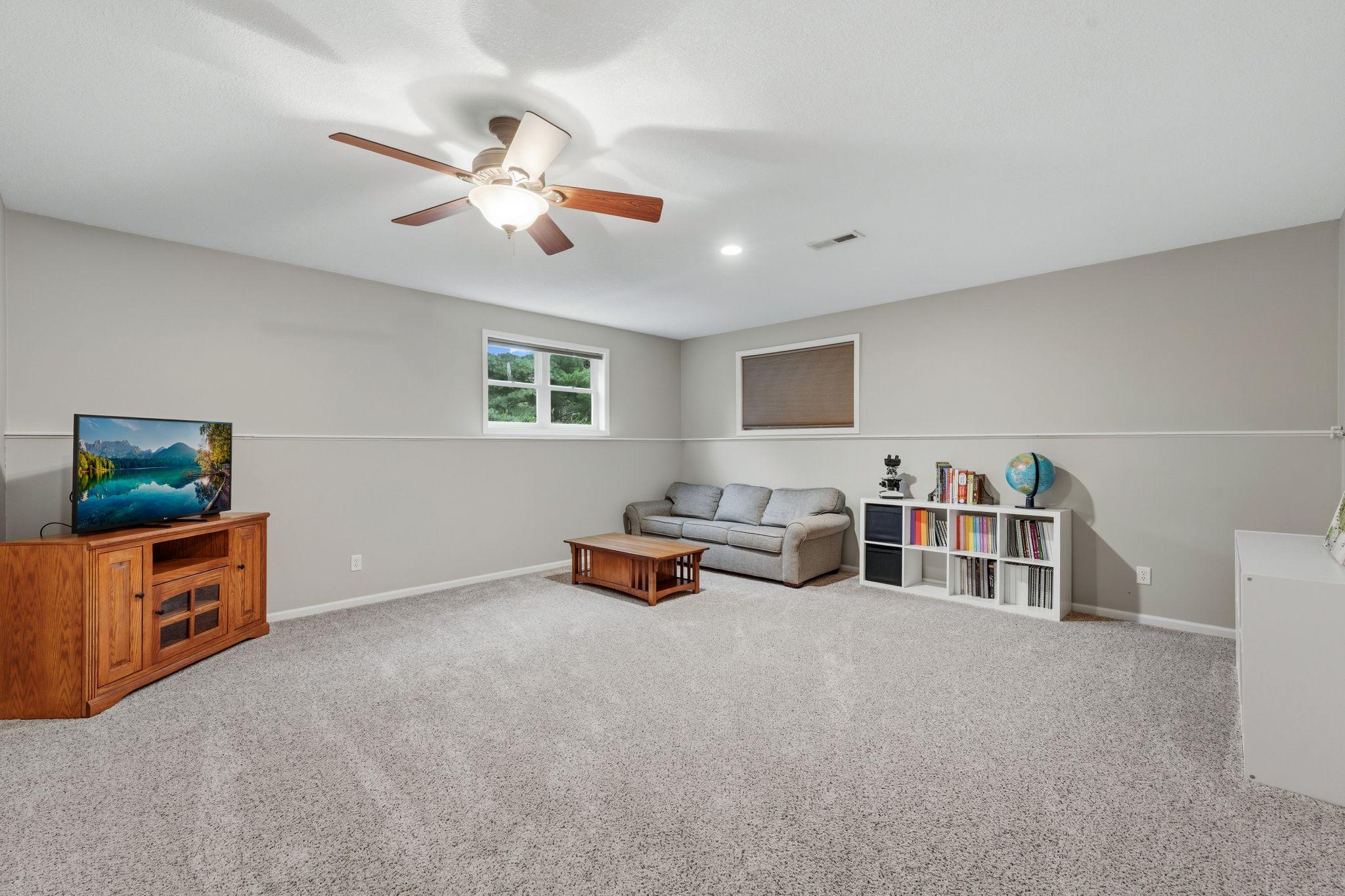 Lower level family room