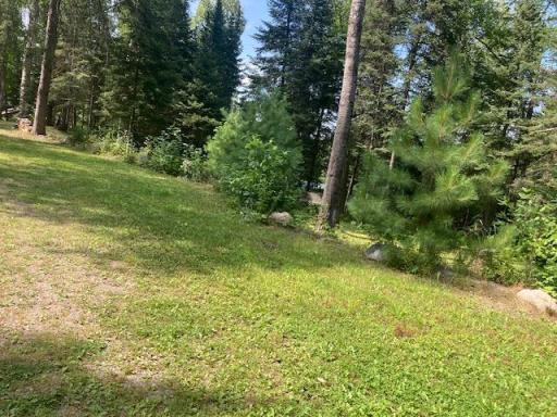 yard from road