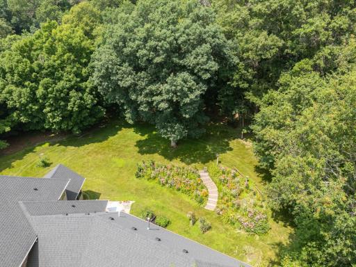 58_dji_20260716120241_0037_d.jpg