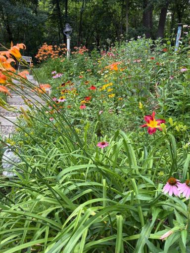 garden8.jpeg